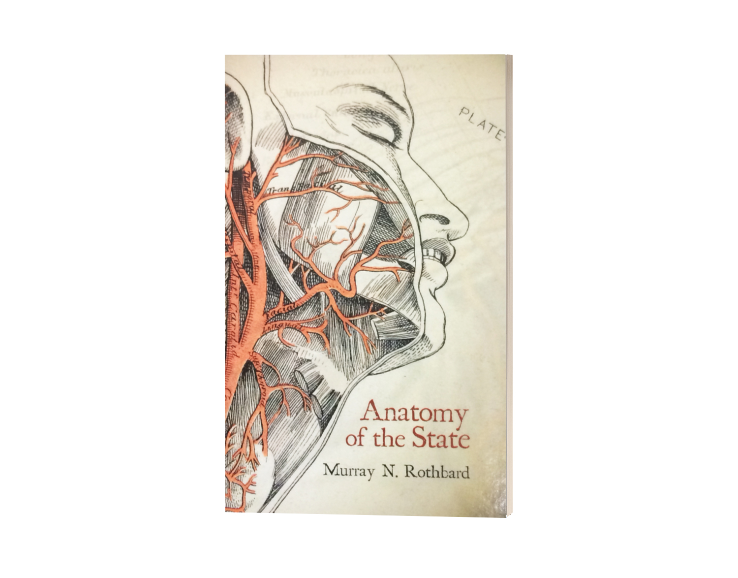 Anatomy of the state murray rothbard james neathery